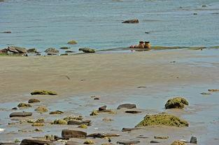 爱情岛国产,探寻异域风情的爱情秘境